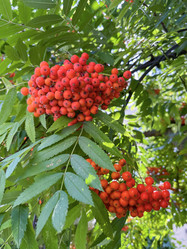 Similar image 22072509