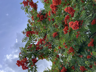 Similar image 22072513