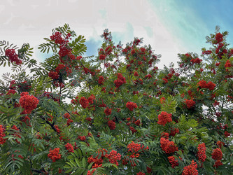 Similar image 22073810