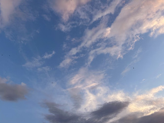 Similar image 22073813