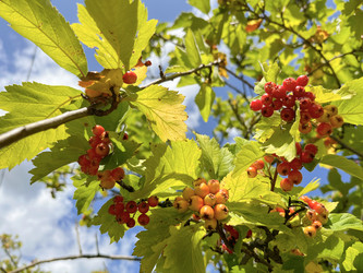 Similar image 22073814