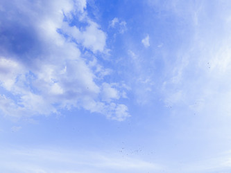 Similar image 22073819