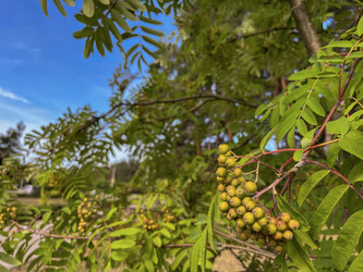 Similar image 22073820