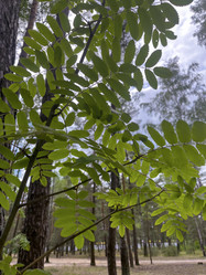 Similar image 22073828