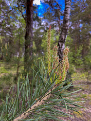 Similar image 22073832