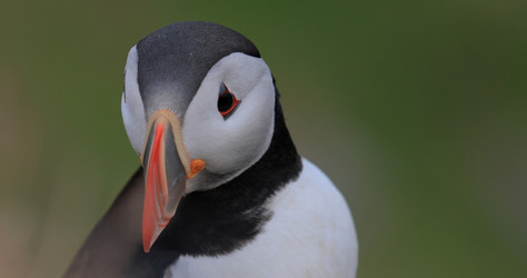 Similar image 22092408