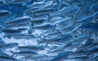 Similar image 22092424