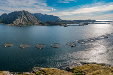 Similar image 22092429