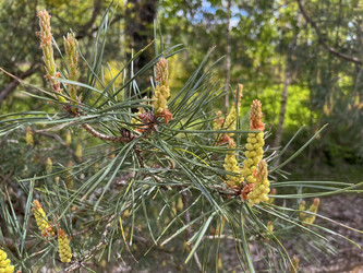 Similar image 22073966