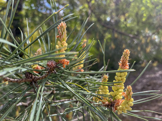 Similar image 22073968