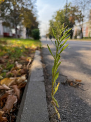 Similar image 22073983