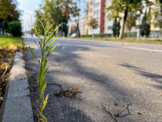 Similar image 22073985