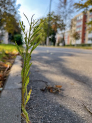 Similar image 22073986