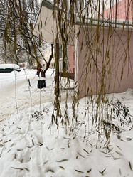 Similar image 22073990