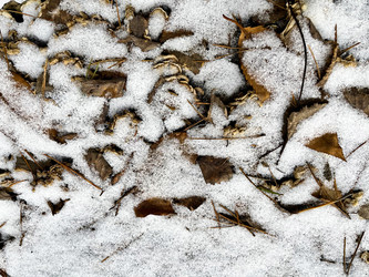 Similar image 22073991