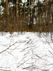 Similar image 22073992