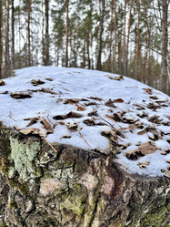 Similar image 22073993