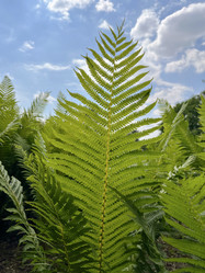 Similar image 22073994