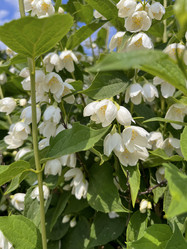 Similar image 22070066