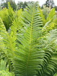 Similar image 22070067