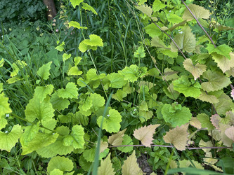 Similar image 22070084