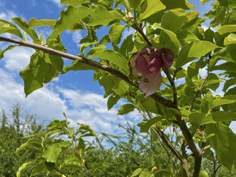 Similar image 22070108