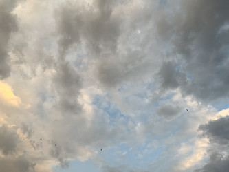 Similar image 22072037