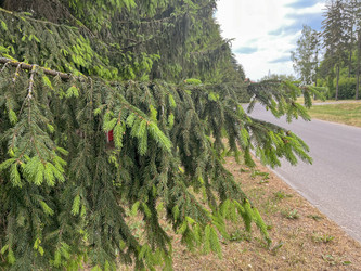 Similar image 22072191