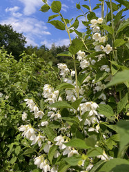 Similar image 22072194