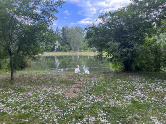 Similar image 22072195