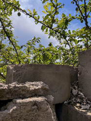 Similar image 22072197