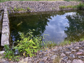 Similar image 22072289