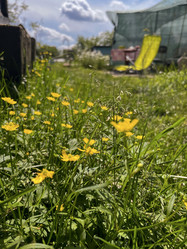 Similar image 22072290