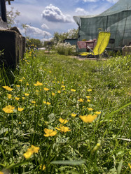 Similar image 22072291