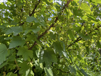 Similar image 22072293