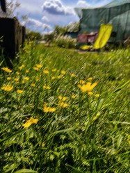 Similar image 22072294