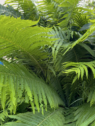 Similar image 22072296