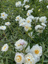 Similar image 22072298