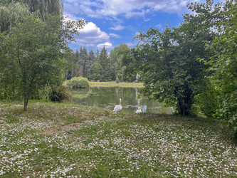 Similar image 22072301