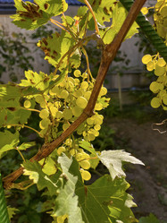 Similar image 22072303