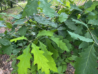 Similar image 22072310