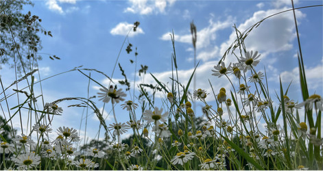 Similar image 22072313