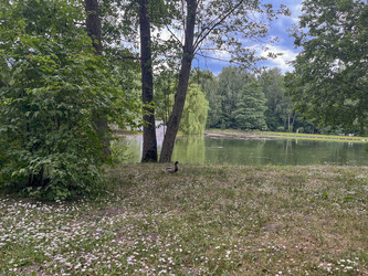 Similar image 22072521