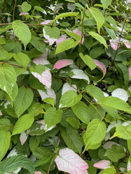 Similar image 22072522