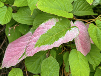 Similar image 22072523