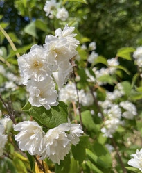 Similar image 22072524