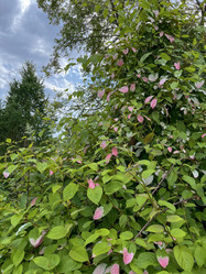 Similar image 22072526