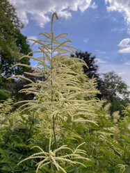 Similar image 22072527