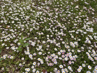 Similar image 22072528