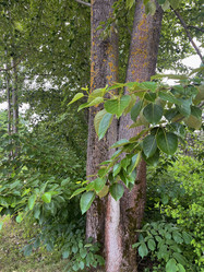 Similar image 22072529